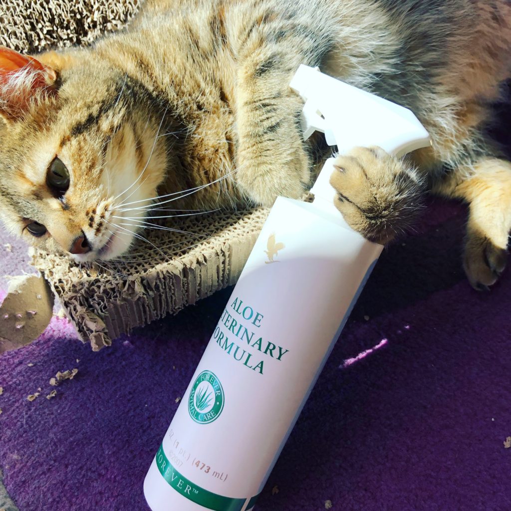 gamme animaux aloe vera forever laetitia deslandes